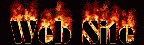 Web Site
